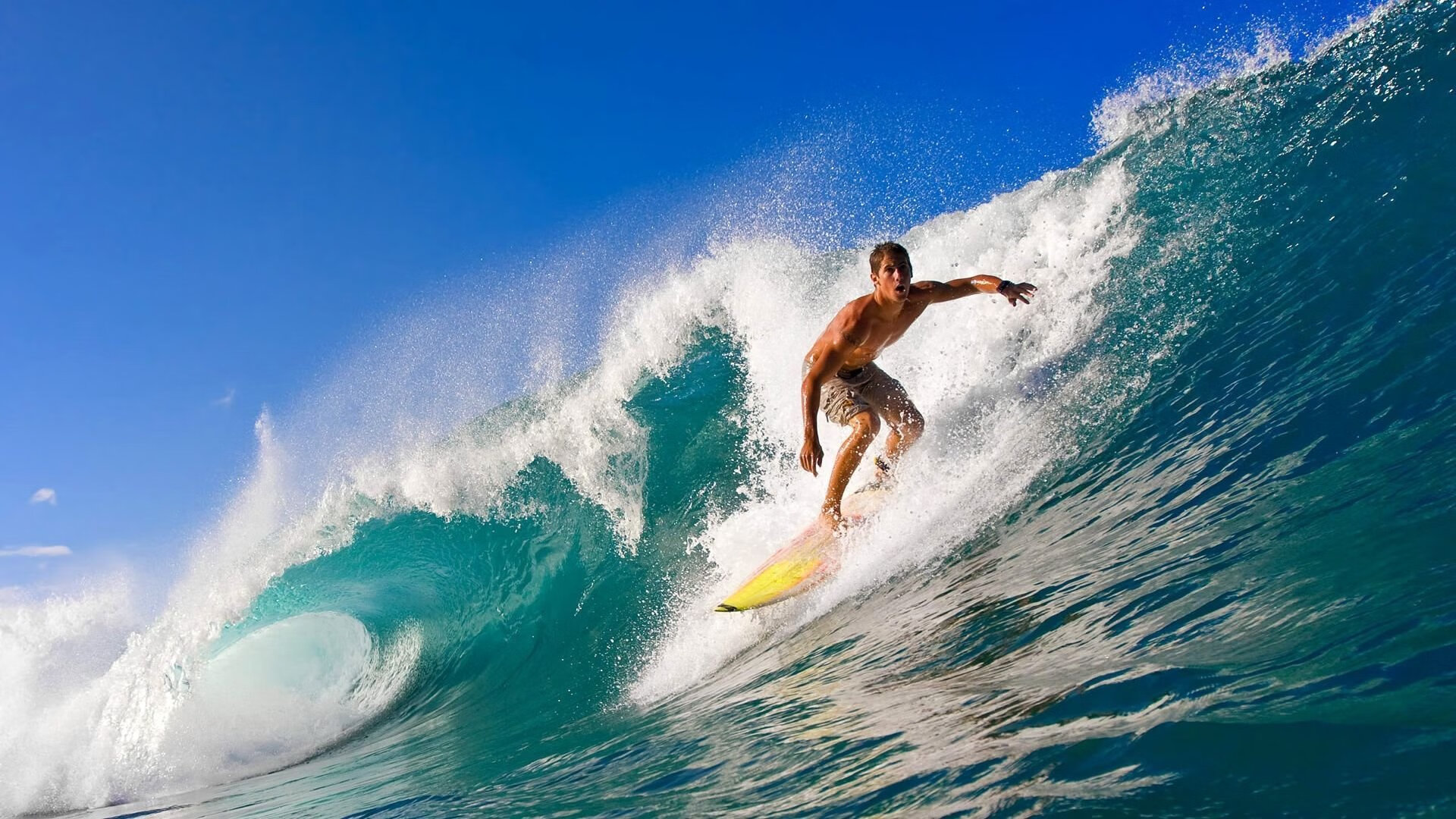 上海球队实现连胜,士气高涨,上海几只球队